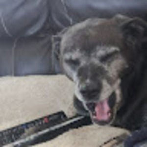 Meet your Posher, Sandy